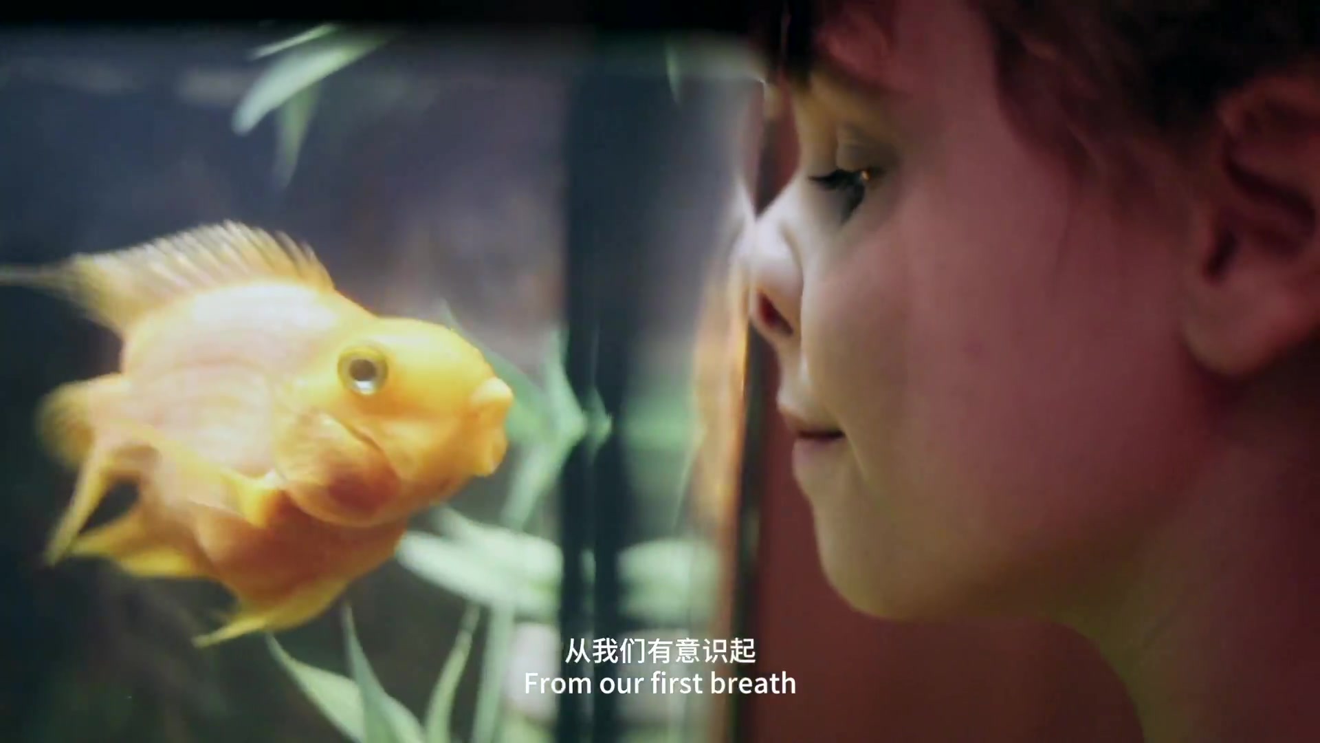 AI科技互联网大数据