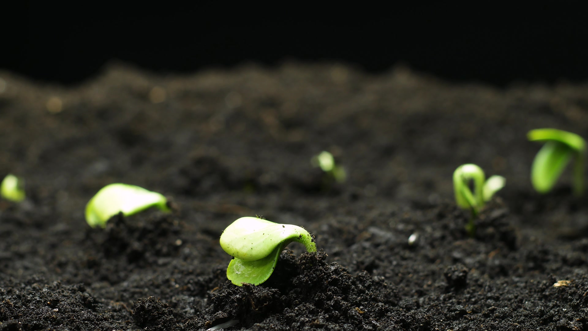 高科技互联网大数据