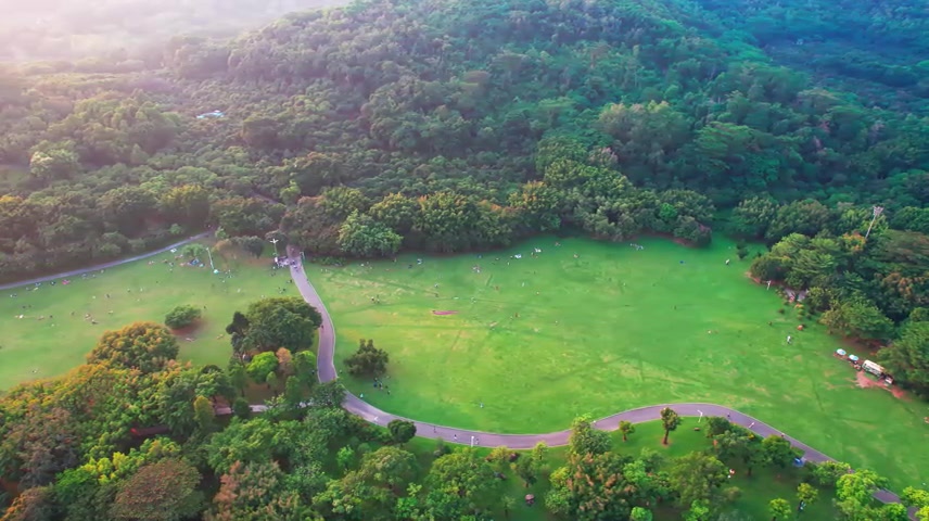 航拍深圳莲花山公园风筝区游客市民