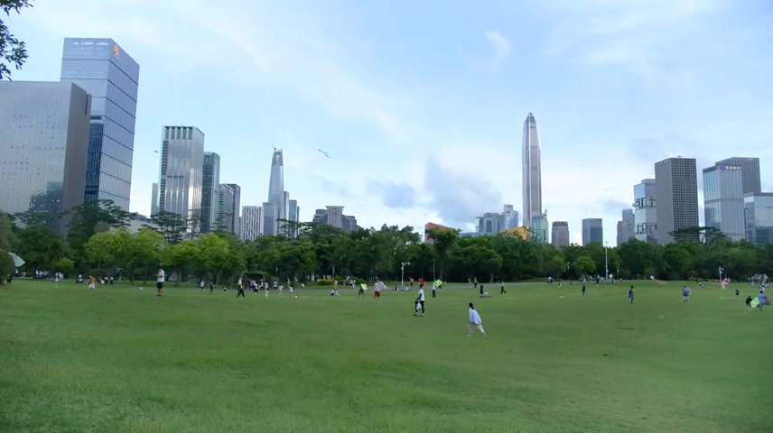 深圳莲花山公园风筝广场