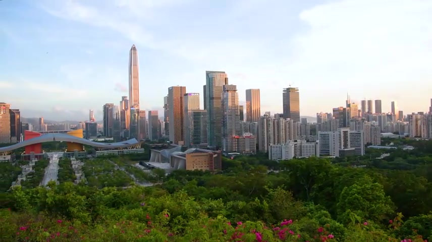 深圳莲花山公园山顶俯瞰建筑群