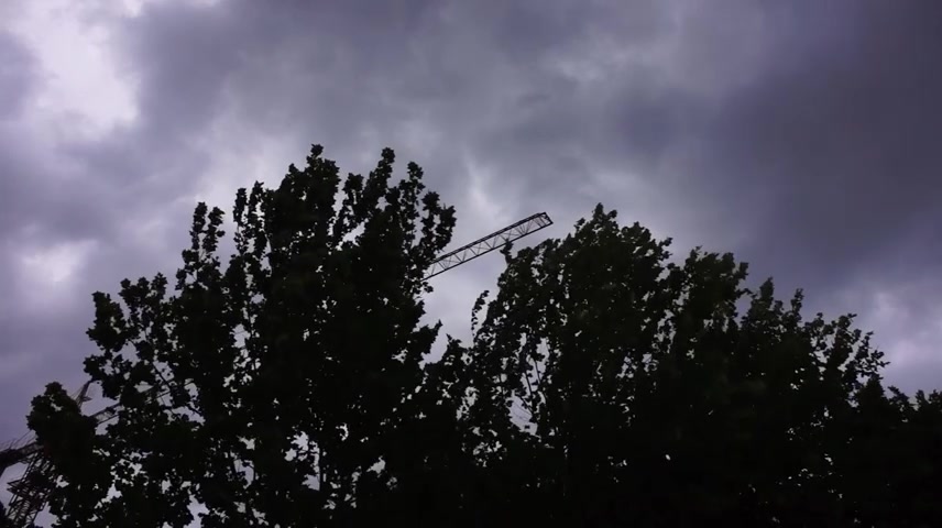 雷电狂风暴雨袭击城市树木摧折积水严重