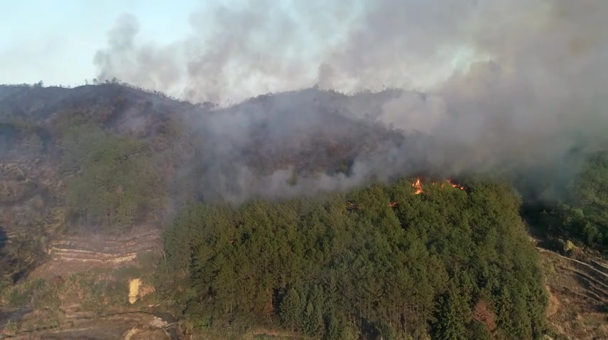 山火、森林火灾、火灾.