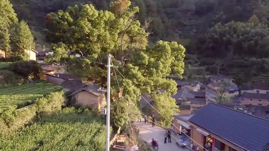 浙江丽水松阳传统古村落杨家堂村日落航拍.