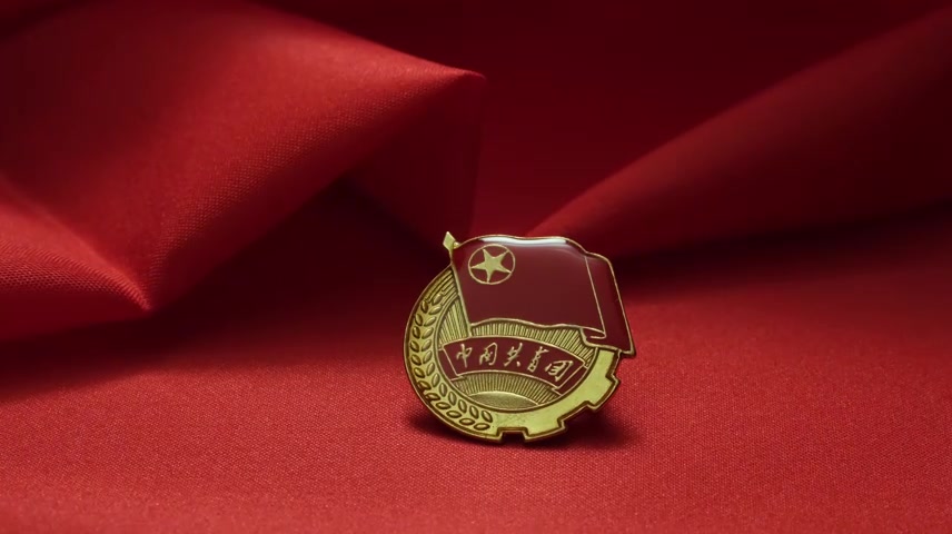 共青团、团员团徽.