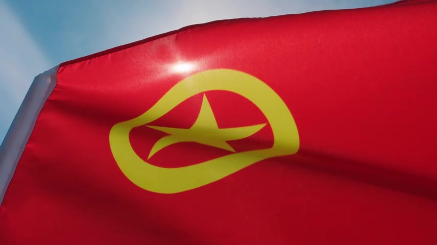 共青团 团旗.