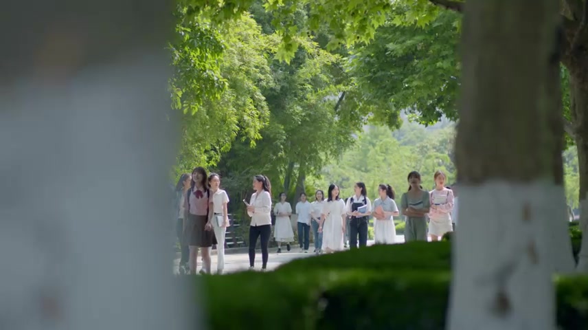 大学校园大学生行走在林荫道