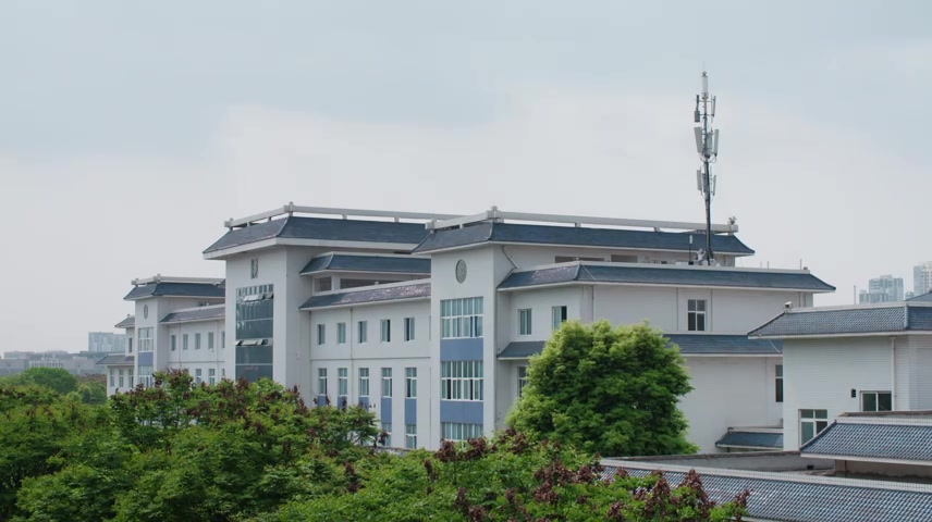 校园大学生行走在上课路上