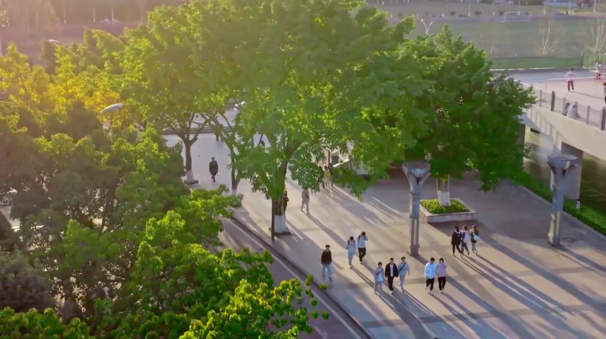 大学校园大学生学习生活行走在林荫道.