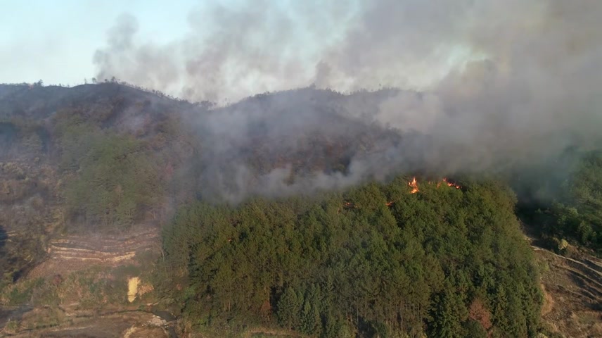 山火、森林火灾、火灾.