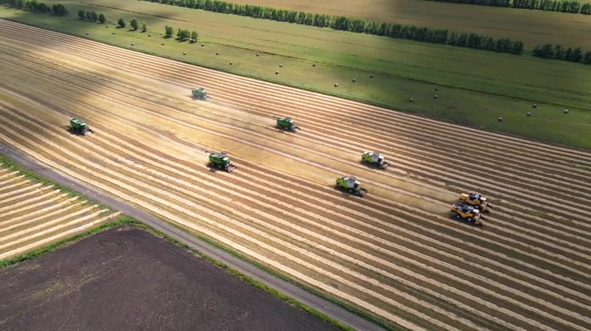 丰收小麦收割机秋收编队