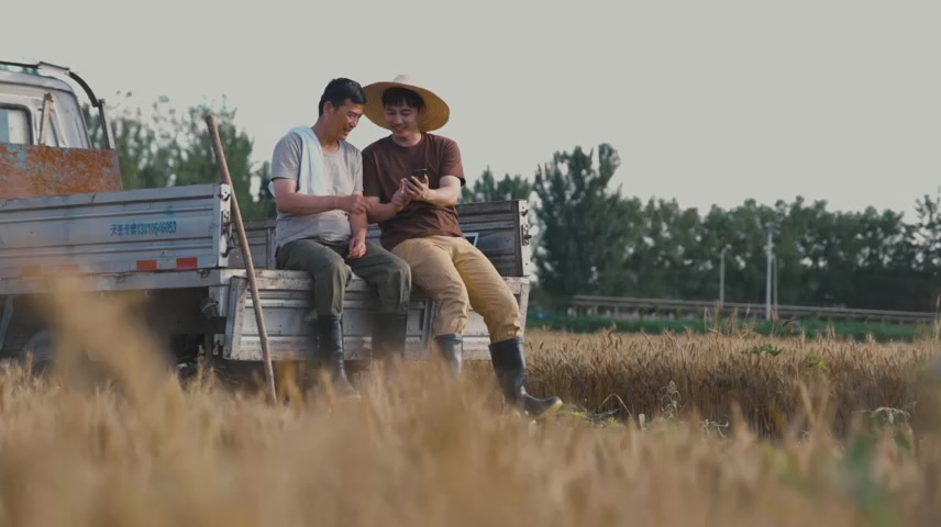 农民看手机交流技术.