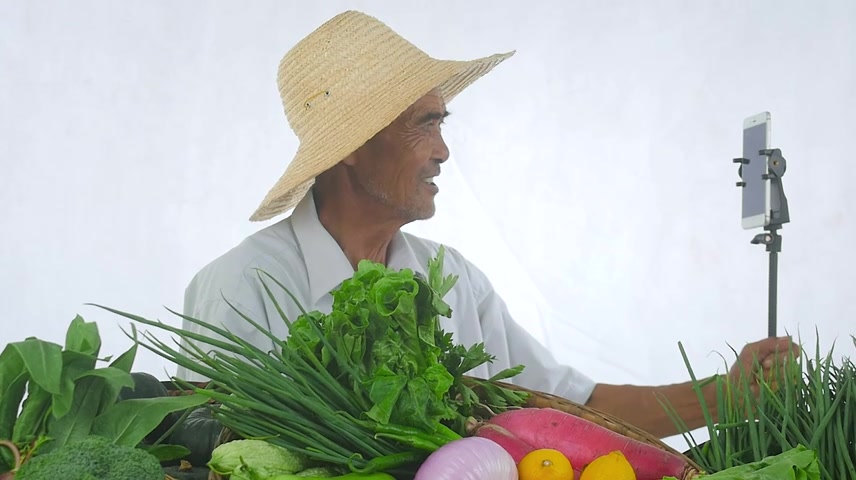 乡村振兴农产品直播