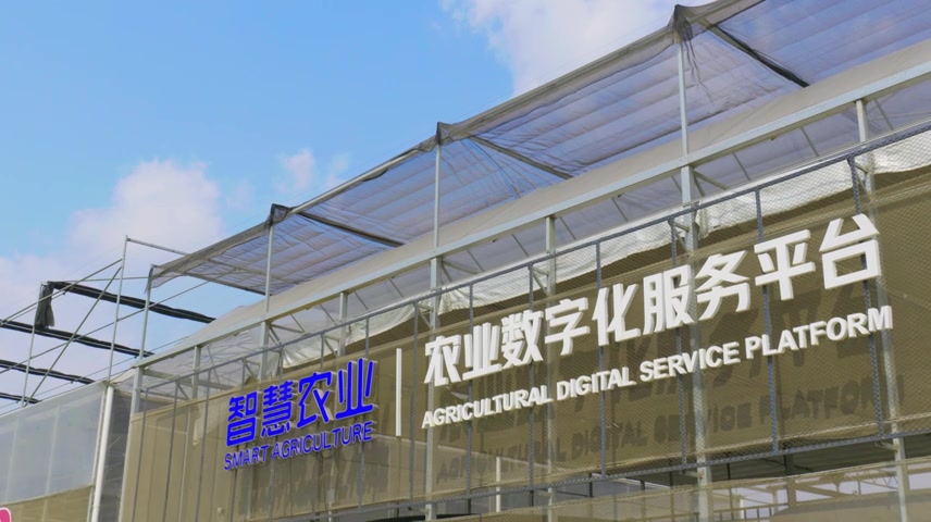 智慧农业农业数字化服务平台蔬菜水果大棚.