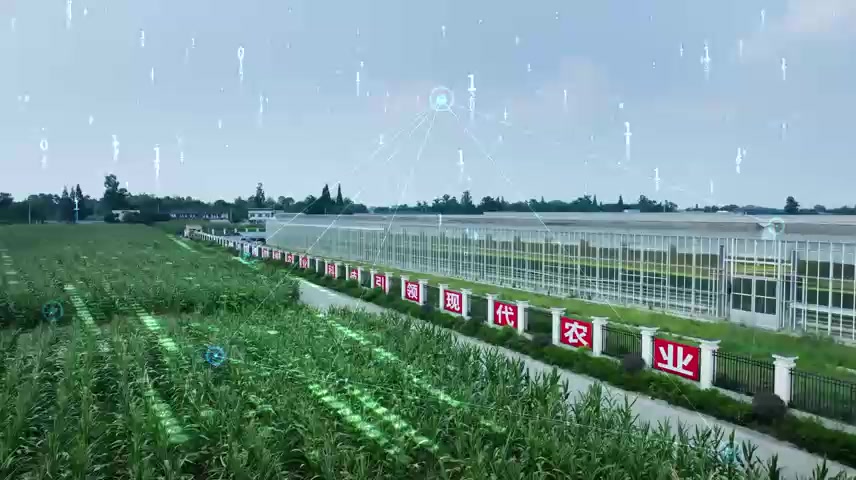 乡村振兴智慧农业.