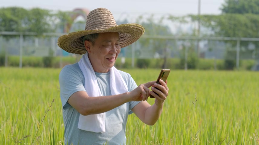 老人田间看手机