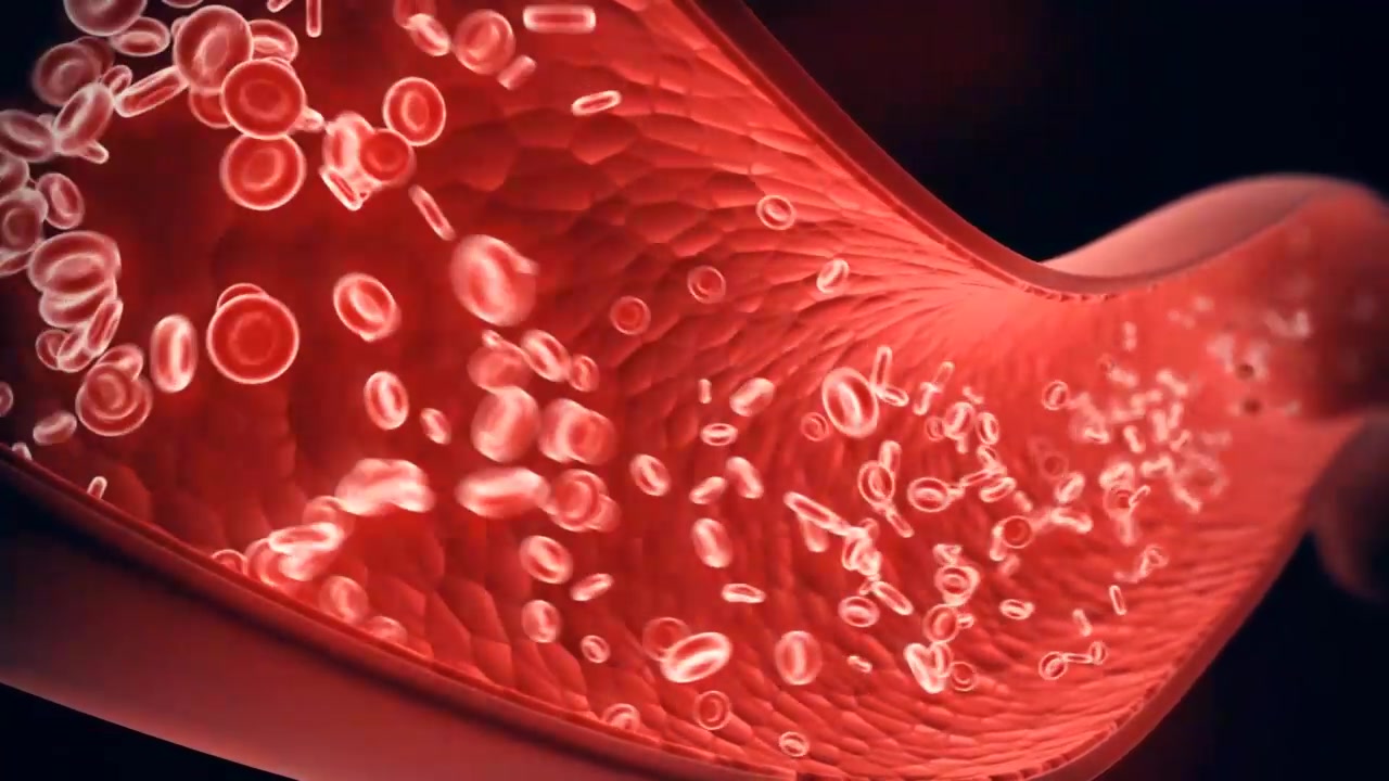 原创恢复人体供血