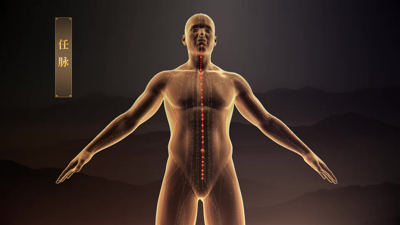 任督二脉+十二经络色原创首发.