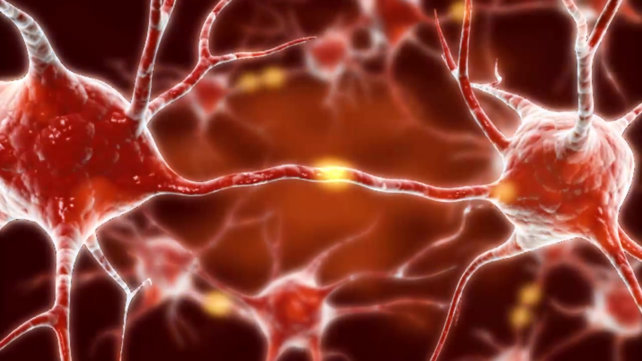 修复凋亡断裂的脑神经