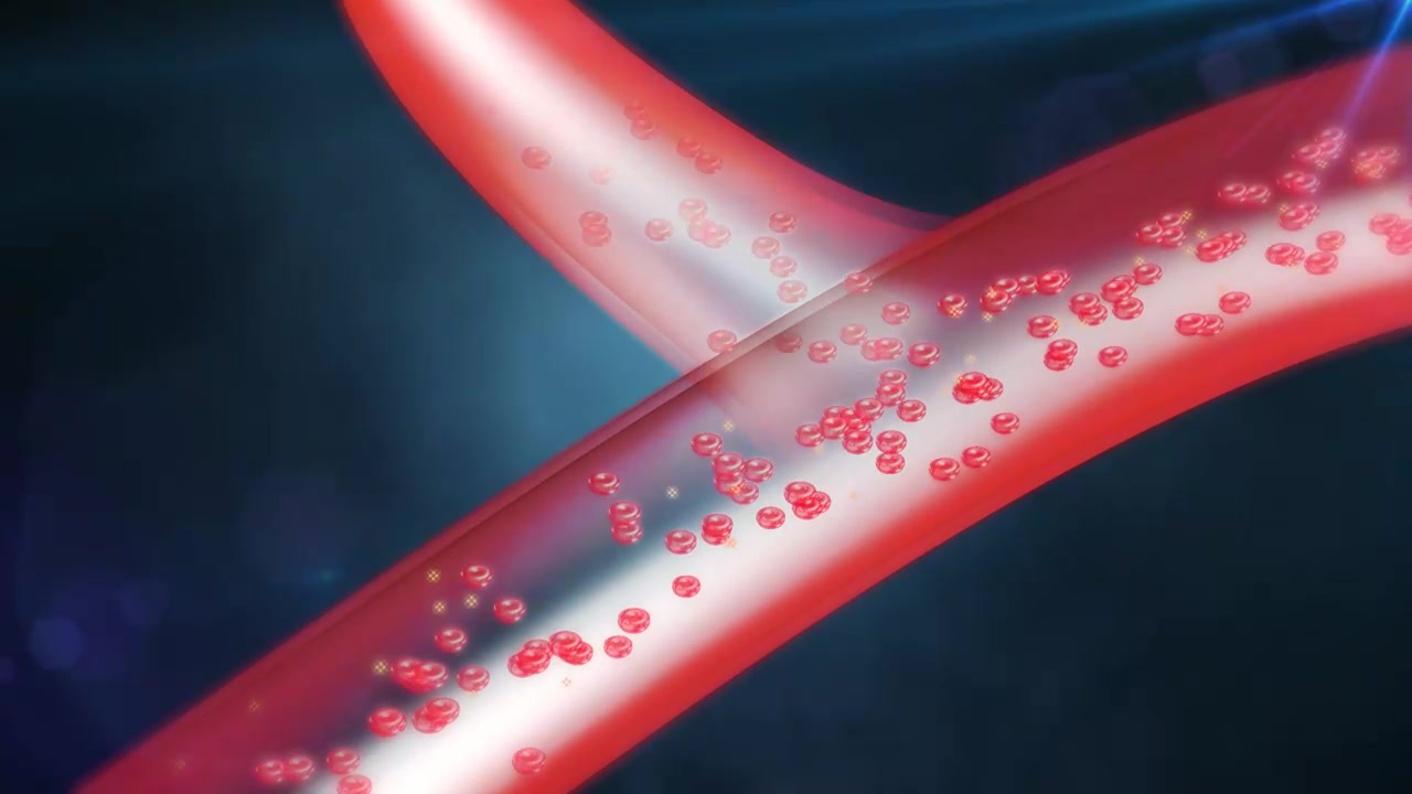 药物推动经络气血循环疏通血管净化血液