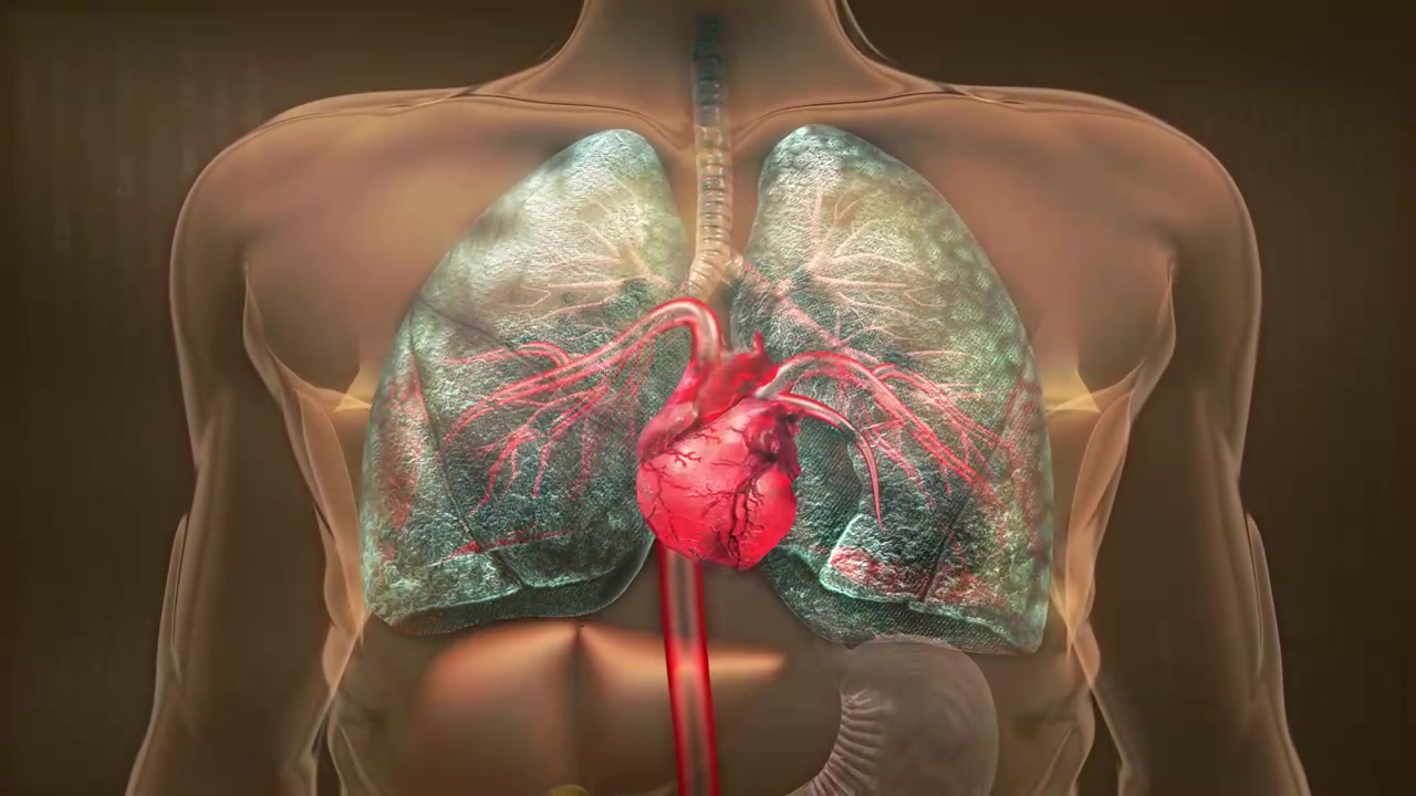 烟毒堵塞血氧交换通道，人就会出现轻微缺氧