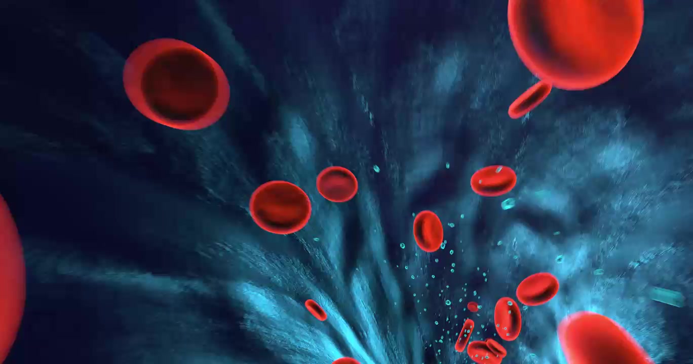 在人体静脉内流动的红细胞.