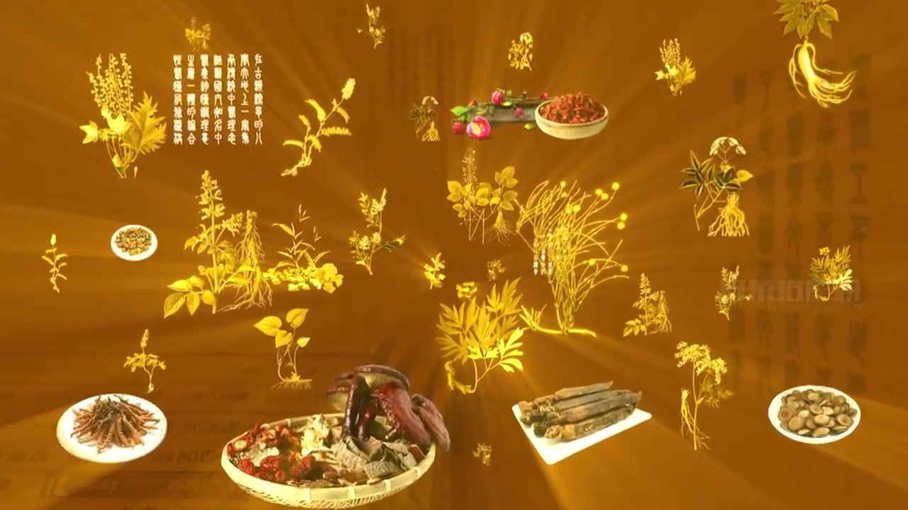 中医 精美中医药材片头舞台背景视频