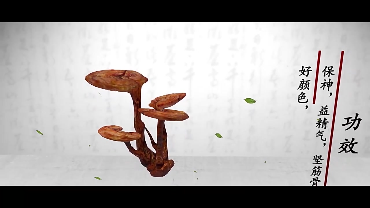 中医 灵芝采药人植物药草实拍下载