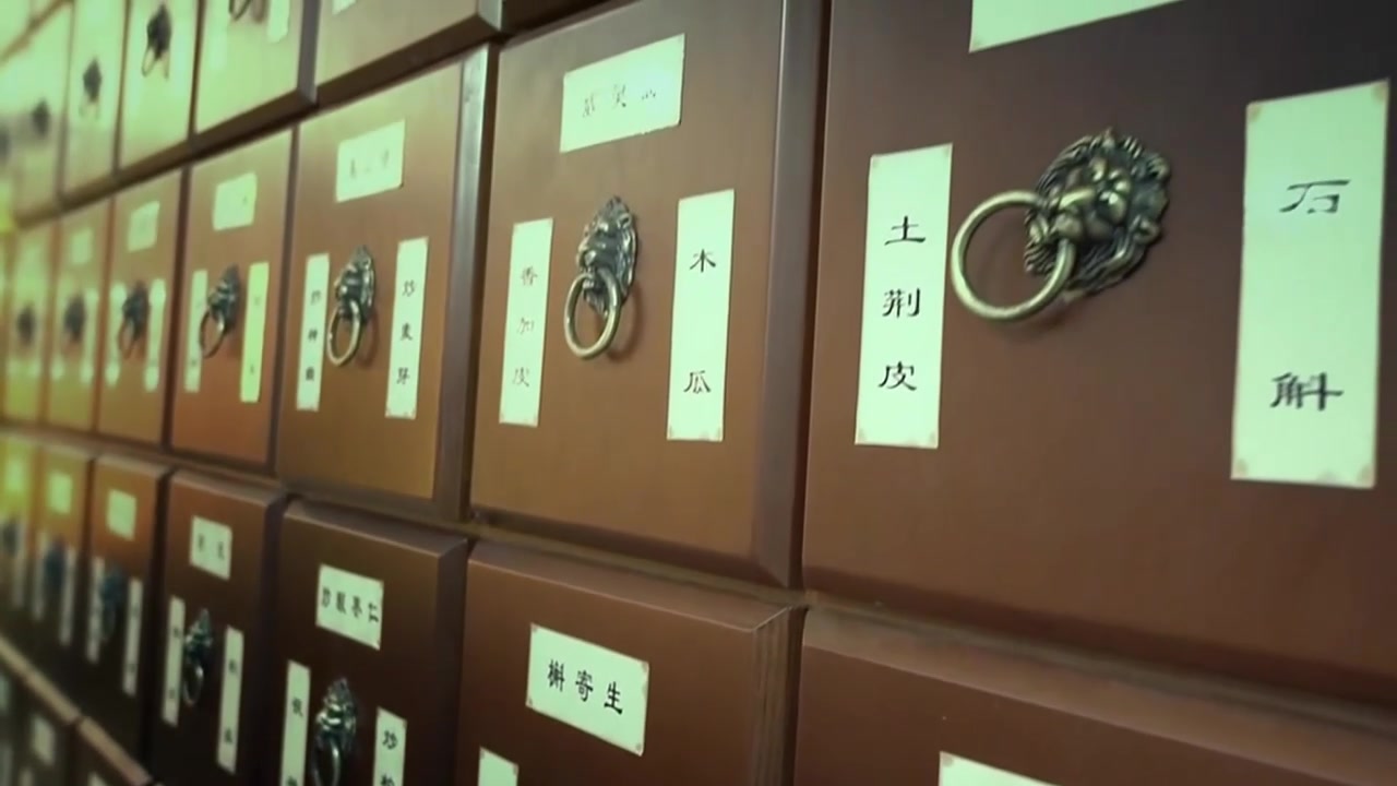 中医 中医文化中药医书下载