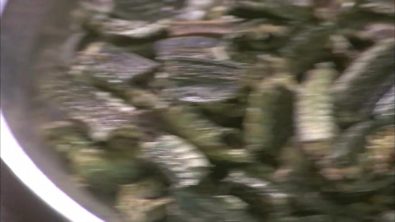 中医中药材一组