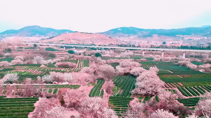 通往春天的列车