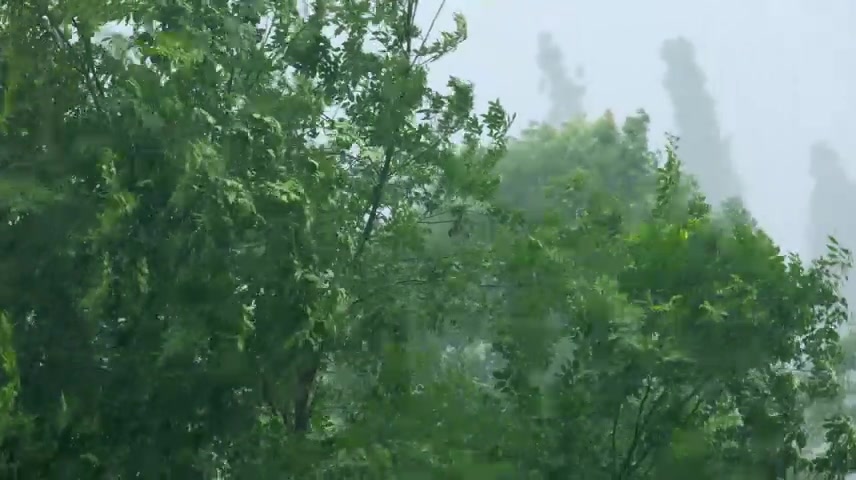 狂风暴雨大雨下雨强降水风雨交加.