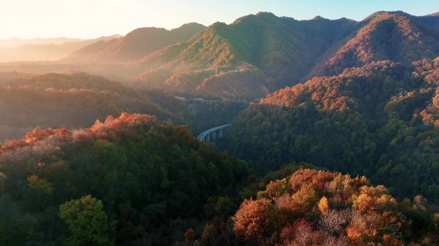 秋景秋天秦岭秋色秋季红叶金秋森林风光树林.