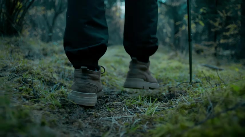 森林大自然树林徒步探险户外自然原始森林山