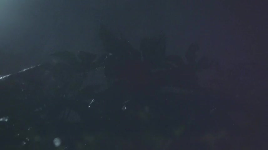 暴雨雨夜晚上下暴雨风雨交加雷雨夜恶劣天气