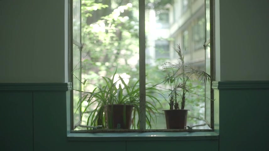 青春匆匆那年唯美清新夏日空荡校园