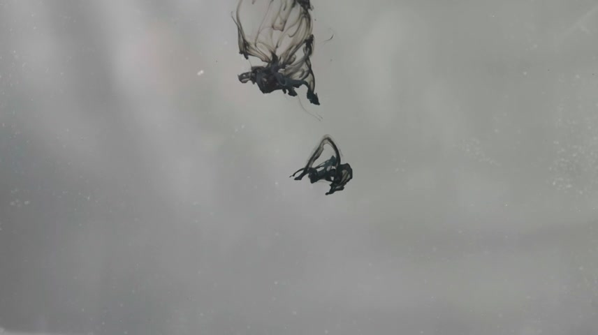 毛笔书法唯美写意